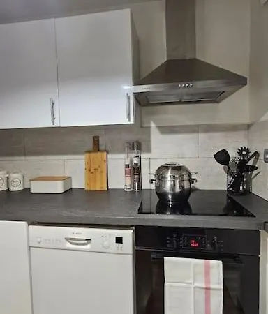 Charmant Duplex 3p Avec Terrasse Apartament
